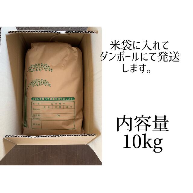 【栄養満点】福岡県産紫もち麦10kg 食品/飲料/酒の食品(米/穀物)の商品写真