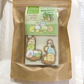すみっコぐらし スプラウト 栽培キット かいわれ大根 (キャラクターグッズ)