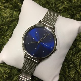 スカーゲン(SKAGEN)のSKAGEN 腕時計 レディース SKW2391(腕時計)