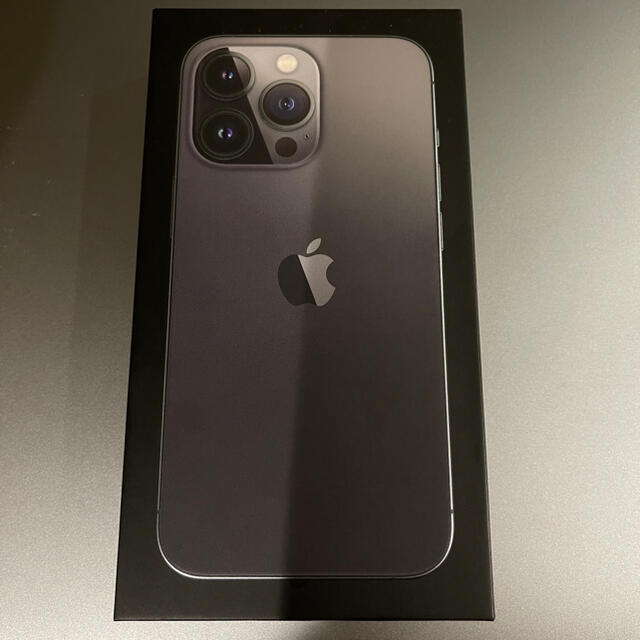 2極タイプ iPhone13 Pro 256GB Graphite (少々不具合有り) | www