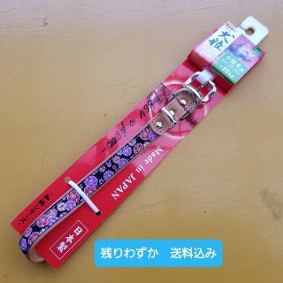 Petio　犬雅　カラー　菊と桜　Sブラック(犬)