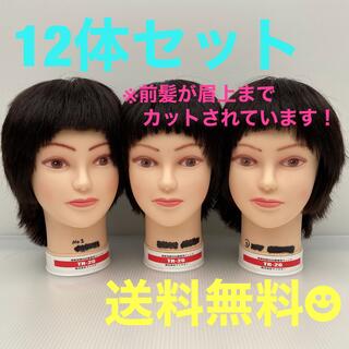 カットウィッグ　カットマネキン　美容師　理容師　(その他)