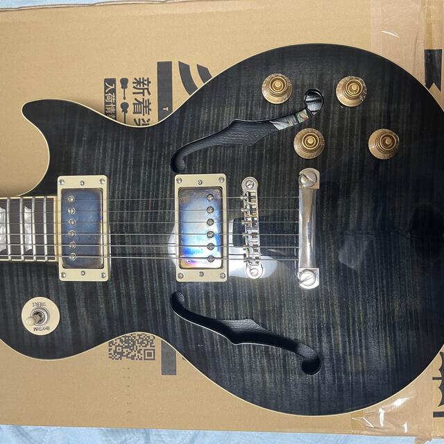 Epiphone(エピフォン)のエピフォン　Les Paul Standard 楽器のギター(エレキギター)の商品写真