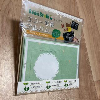 エコー写真アルバム(アルバム)