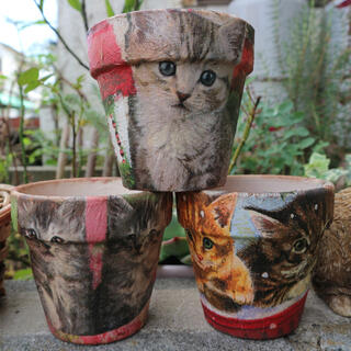 猫 ネコ ねこ リメイク鉢 クリスマス かわいい 植木鉢(プランター)