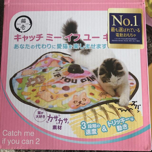 猫壱　キャッチミーイフユーキャン2 その他のペット用品(猫)の商品写真