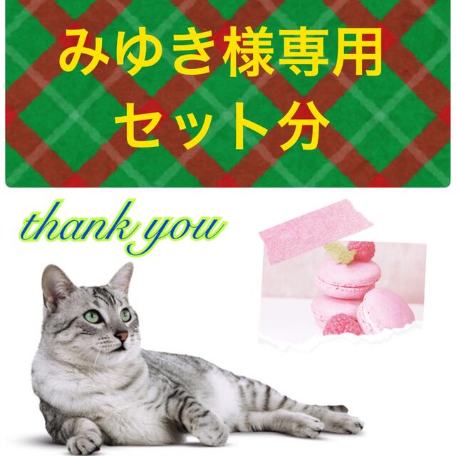 ROYAL CANIN(ロイヤルカナン)のみゆき様専用セット分　ご指定数量　となっております。 その他のペット用品(ペットフード)の商品写真