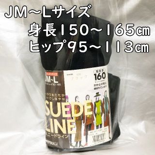 アツギ(Atsugi)のSUEDE LINEスエードライン160デニールタイツ黒／ATSUGI／未使用(タイツ/ストッキング)