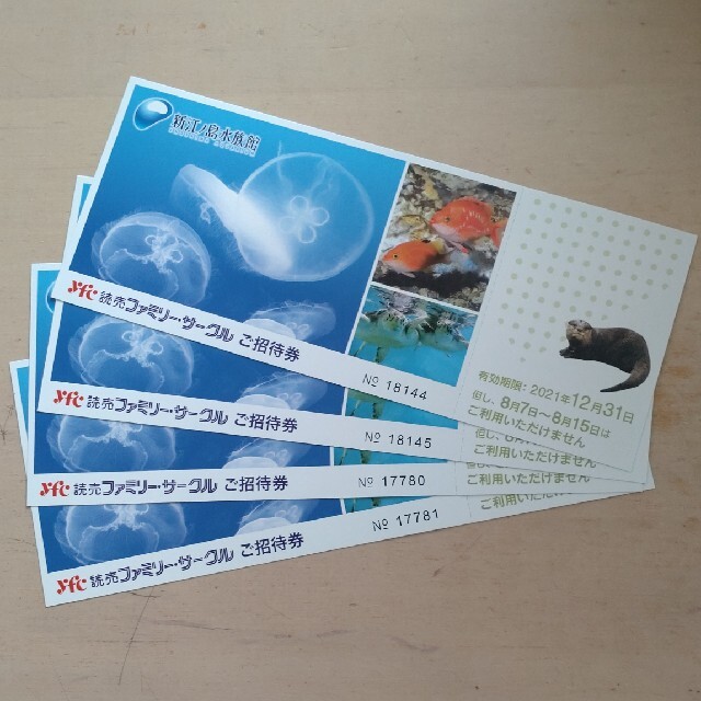 新江ノ島水族館　招待券　4枚セット チケットの施設利用券(水族館)の商品写真