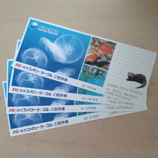 新江ノ島水族館　招待券　4枚セット(水族館)