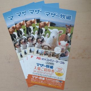 マザー牧場　入場招待券　4枚セット(遊園地/テーマパーク)