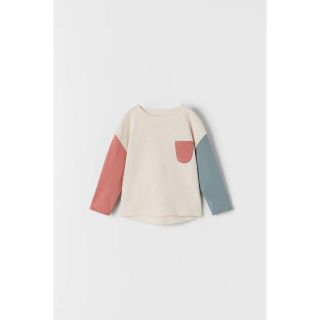 ザラキッズ(ZARA KIDS)の専用　zara kids コンストラストスリーブTシャツ 110(Tシャツ/カットソー)