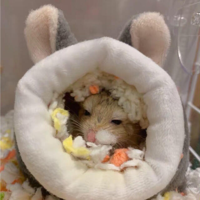 人気提案 もこもこ ハムスターのおうち 小動物用品 人気提案 もこもこ ハムスターのおうち 小動物用品
