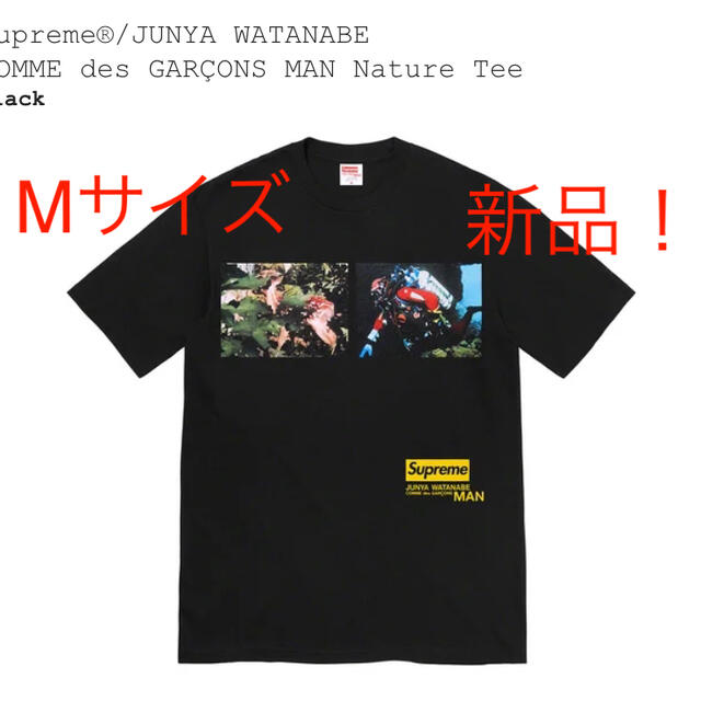 Supreme(シュプリーム)のSupreme  シュプリーム　Tシャツ　コラボ　ボックスロゴ　レア　完売 メンズのトップス(Tシャツ/カットソー(半袖/袖なし))の商品写真