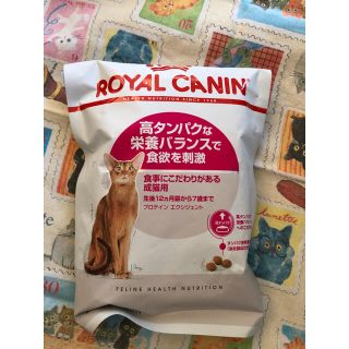 ロイヤルカナン(ROYAL CANIN)のロイヤルカナン プロテイン エクシジェント 生後12ヶ月から7歳まで 開封済み(猫)