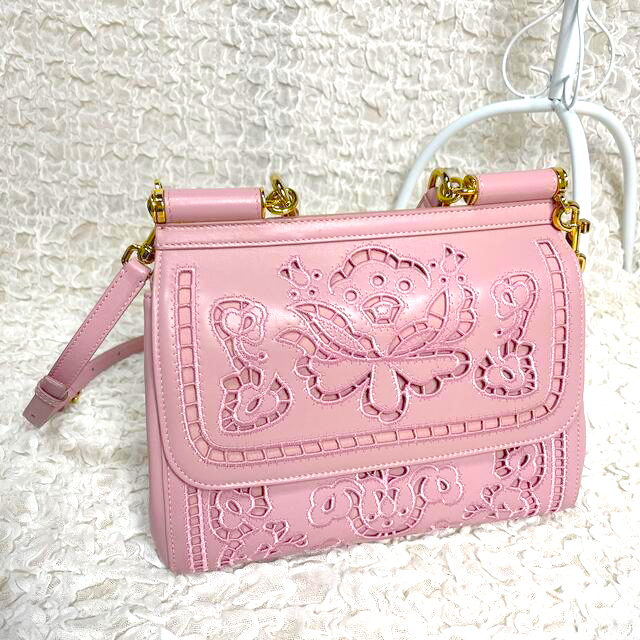 新品✨超希少‼️2017DG bag