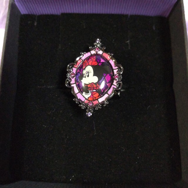 ANNA SUI - 新品 未使用 限定 レア アナスイ ANNASUI ディズニー