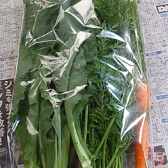 人参の葉っぱ 葉 新鮮野菜 200gramの通販 by もも's shop|ラクマ