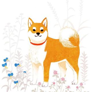 柴犬ジョー様専用(文学/小説)