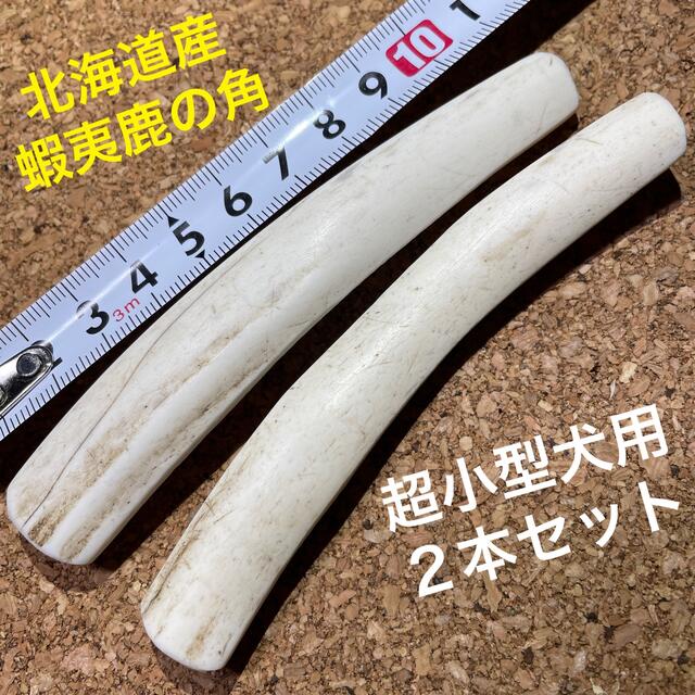 鹿の角　犬のおもちゃ　北海道産　　　　　　　　　　　　　　超小型犬用　2本セット その他のペット用品(犬)の商品写真