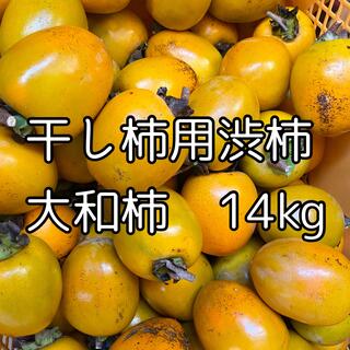 格安　徳島県産　干し柿用渋柿　大和柿　14kg(フルーツ)