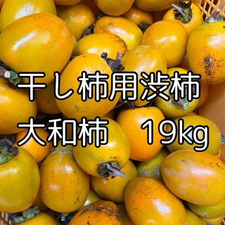 格安　徳島県産　干し柿用渋柿　大和柿　19kg(フルーツ)