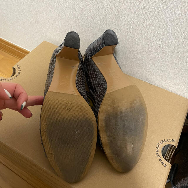AVRIL GAU(アヴリルガウ)のワニ革　パンプス レディースの靴/シューズ(ハイヒール/パンプス)の商品写真