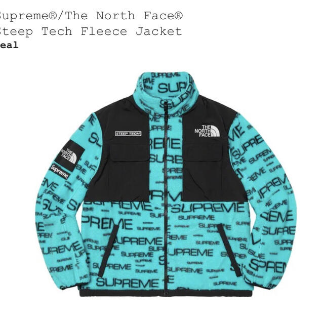 Supreme The North Face Steep Tech Fleeceブルゾン