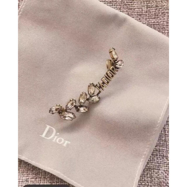 dior earrings