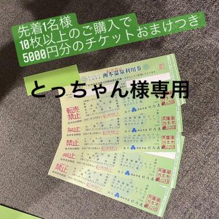 とっちゃん様専用　洲本温泉利用券8枚(その他)