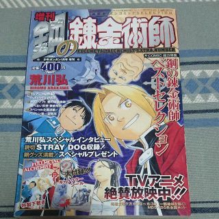 スクウェアエニックス(SQUARE ENIX)の少年ガンガンCELECTION増刊鋼の錬金術師(漫画雑誌)