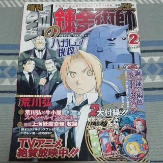 スクウェアエニックス(SQUARE ENIX)の少年ガンガンCELECTION増刊鋼の錬金術師2(漫画雑誌)