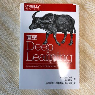 【裁断済】直感Ｄｅｅｐ　Ｌｅａｒｎｉｎｇ (コンピュータ/IT)