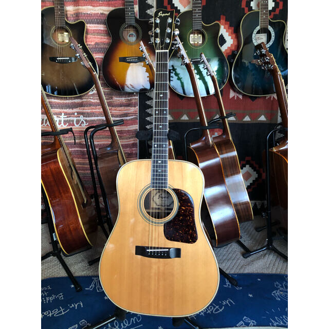 てのギター 極美品❣️70s国産檄レア❣️ビンテージ❣️寺田ジャガード