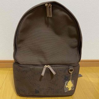 TDS ディズニー シー 20周年 リュックサック カメラバッグ ミッキー