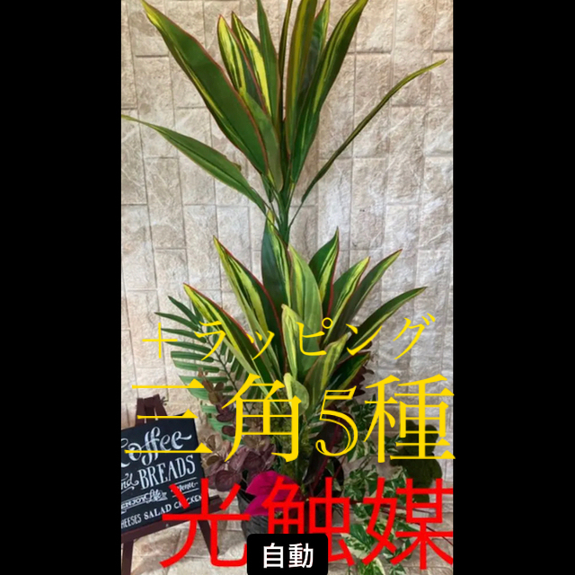 光触媒　人工観葉植物　ウォールグリーン　造花　アレンジ　マッサンアレンジr15