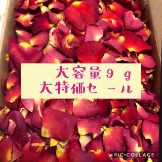 大特価！大容量！ミニ薔薇の花びら9gセット（大小mix）★花弁　ドライフラワー(ドライフラワー)