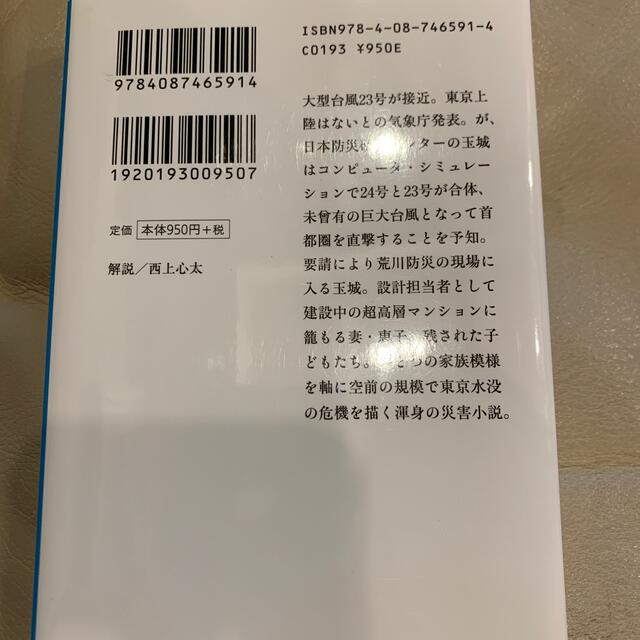 東京大洪水 エンタメ/ホビーの本(文学/小説)の商品写真