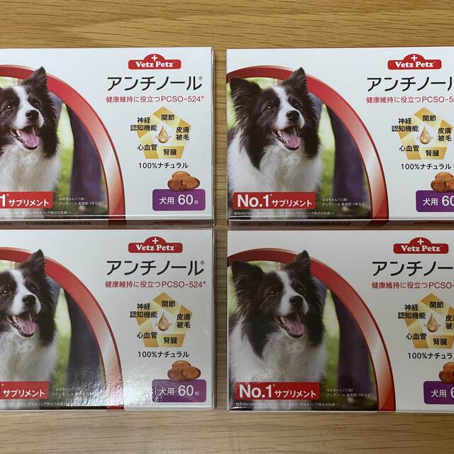 犬用アンチノール 60粒 4箱その他