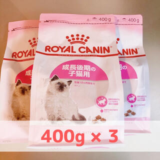 ロイヤルカナン(ROYAL CANIN)のロイヤルカナン キトン ROYAL CANIN 400g×3袋セット新品未開封(ペットフード)