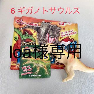 ギガノトサウルス　トリケラトプス(その他)