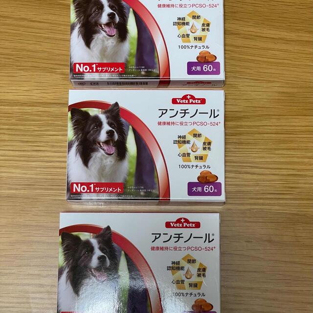 ペット用品犬用アンチノール 60粒 3箱