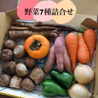 無農薬野菜＆果物セット★宅急便コンパクト(野菜)