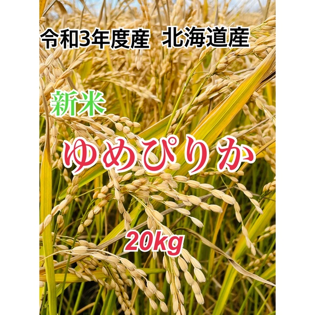 米/穀物令和3年度産 北海道米  新米 ゆめぴりか 20キロ　産地直送