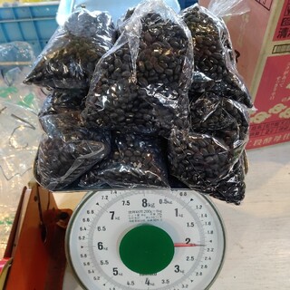 黒小豆　　約2Kg(野菜)