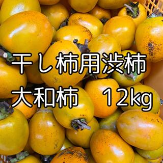 momochan様専用　格安　徳島県産　干し柿用渋柿　大和柿　12kg(フルーツ)