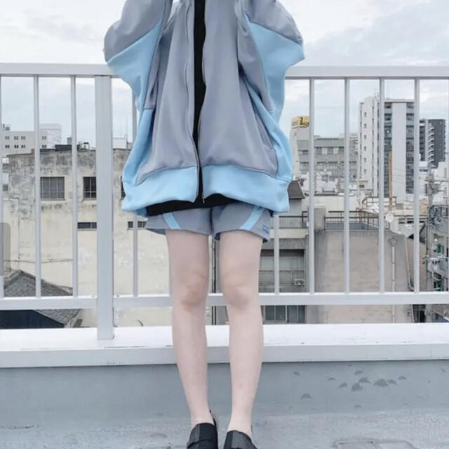 オリジナル 桃花様専用 桃花様 小紋手ぬぐい 日本手ぬぐい ハリネズミ ハリモグラ