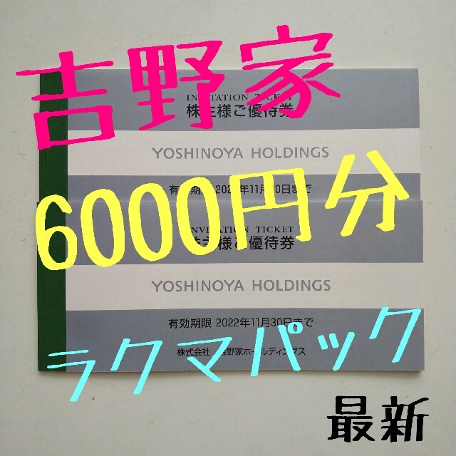 【匿名配送】吉野家 株主優待券 6000円分 最新 チケットの優待券/割引券(レストラン/食事券)の商品写真