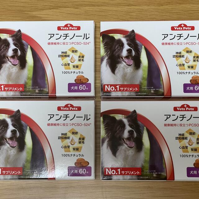 犬用アンチノール 60粒 4箱 | www.chirurgie-ophtalmo.com