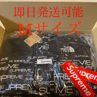 シュプリーム(Supreme)のSupreme The North Face 700-Fill Down m(ダウンジャケット)